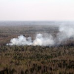 В мае этого года лес уже горел в поселке Сосьва. Фото Владислав Бурнашев