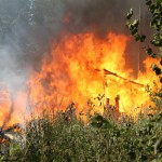 С начала года пожары унесли 12 жизней