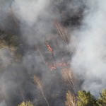 В лесах Серовского и Сосьвинского округов тушат пожары