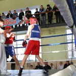 В Серове стартует областное первенство по боксу