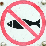 В мае рыбакам Северного Урала запретили передвигаться по водоемам 