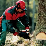 Вальщик леса – профессия достаточно трудоемкая и ответственная.