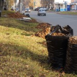 В Серове началась санитарная уборка улиц