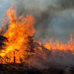 Отходы деревообрабатывающего производства загорелись из-за неосторожного обращения с огнем. Фото: Антон Муханов, газета "Глобус".