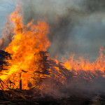 На территории Серова и Сосьвы за 8 месяцев зарегистрировано 167 пожаров