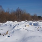 Жители серовского поселка Энергетиков нашли свалку белого вещества недалеко от санаторной школы-интерната