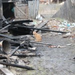 По словам Валентины Николаевны, в пожаре погибло много домашних животных. Те, что остались в живых, не спешат покидать обжитое место. Фото: Константин Бобылев, "Глобус",