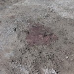 На месте нападения пса на бабушку до сих пор остаются следы крови. Фото: Константин Бобылев, "Глобус".