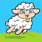 овца2