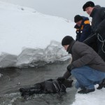 Куклу опустили в воду в том месте, где по основной версии следствия ребенок провалился под лед. Фото: Константин Бобылев, "Глобус".
