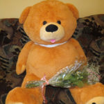 Медвежонка и букет цветов "ромео" подарил однокласснице. Прада, чтобы сделать подарок, украл деньги у двоюродной сестры. Фото: полиция Серова