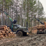 В Свердловской области завершена операция «Лес»