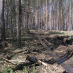 Вырубка леса в районе Киселевского водохранилища. Все фото предоставлены Николаем Демидовым.