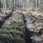 Вырубка леса в районе Киселевского водохранилища. Все фото предоставлены Николаем Демидовым.