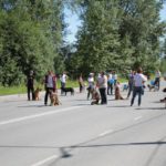Впервые в шествии приняли участие собаководы города. Их колонная расположилась в самом конце. Фото: Константин Бобылев, "Глобус".